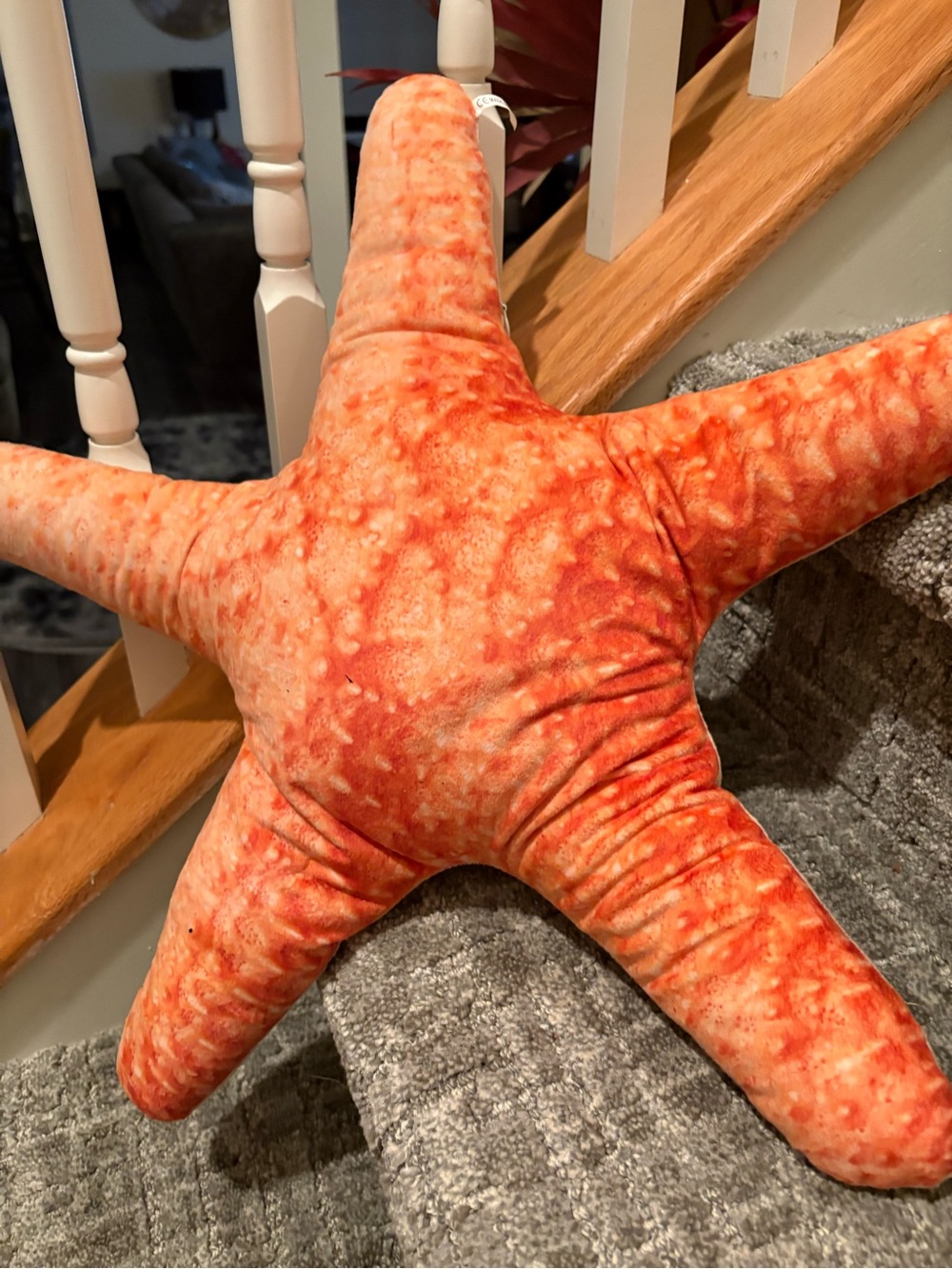 Plush Starfish Throw Pillow in Orange 2 pillows 
With zipper.